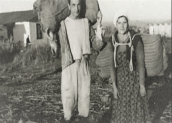 “Poshtërimi dhe tortura ishin kënaqësitë më të mëdha që ndjenin toger Hakiu, aspirant Syrjai, kapterët Selfo, Tomi, Ismaili, etj., ndaj të internuarve në Tepelenë…”! / Dëshmitë dhimbshme të Eugjen Merlikës