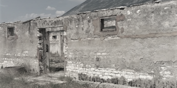 “Gjyshi, që ishte kryetar i Degës së Brendshme, vinte i mërzitur, se i kërkonin që të torturonte të arrestuarit dhe ai…”/ Dëshmia e rrallë e punonjëses së Bashkisë së Tepelenës