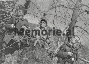 Relacioni sekret: “Hysen Osmani dhe Lutfi Hamo, e kanë takuar Kasemin dhe ju ka thënë se; do të shkoj në Theollogo, për…”/ Dokumenti Sigurimit, për arratisjen e Kaso Hoxhë në Greqi, në ’85-ën