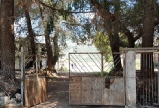 “Në Tepelenë, kur mësuesi më pyeti nëse unë e doja babën tim, që ishte në mal i arratisur dhe i thashë; po, e dua, ai kapi vizoren dhe…”/ Dëshmia e trishtë e Simon Mirakaj