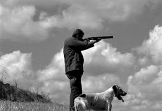 “Udhëheqësi i lartë i PPSh-së, qëlloi për derra të egër, por saçmet gjakosën një shokun tonë dhe kur e hipëm në makinën e tij, për ta çuar në spital, ai…”/ Dëshmia e inspektorit të Rezervatit të Velipojës