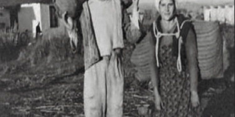 “Në atë kamp, kishte nëna me vendosmëri stoike që, pa derdhur pikë loti, varrosnin me duart e veta krijesat e tyre dhe…”/ Dëshmia tronditëse e italianes që vuajti 46 vjet internimeve