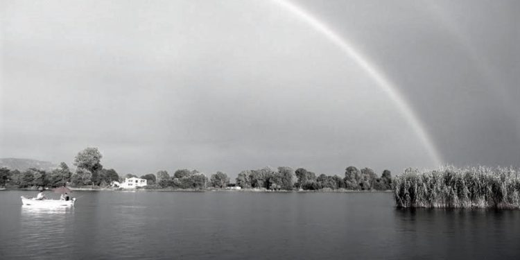 “Udhëheqësi i lartë i PPSh-së, qëlloi për derra të egër, por saçmet gjakosën një shokun tonë dhe kur e hipëm në makinën e tij, për ta çuar në spital, ai…”/ Dëshmia e inspektorit të Rezervatit të Velipojës