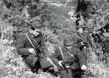“Shokun ma vranë 20 m. larg, qenin e kufirit e kishte Mitro K., kurse në qelitë e Gjirokastrës, pësova tronditje nervore dhe luaja e haja bukë me minjtë…”/ Dëshmia tronditëse e beratasit që u dënua me 25 vjet