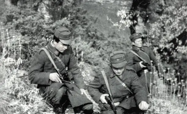 “Shokun ma vranë 20 m. larg, qenin e kufirit e kishte Mitro K., kurse në qelitë e Gjirokastrës, pësova tronditje nervore dhe luaja e haja bukë me minjtë…”/ Dëshmia tronditëse e beratasit që u dënua me 25 vjet