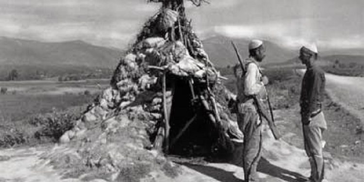 “Emigracioni i ardhur nga malet e Shqipërisë së sotme qendrore, djepi dhe foleja e shqiptarëve, u favorizua nga shtrirja tokësore e Serbisë…”/ Libri i ri i gazetarit, studiuesit dhe diplomatit të njohur