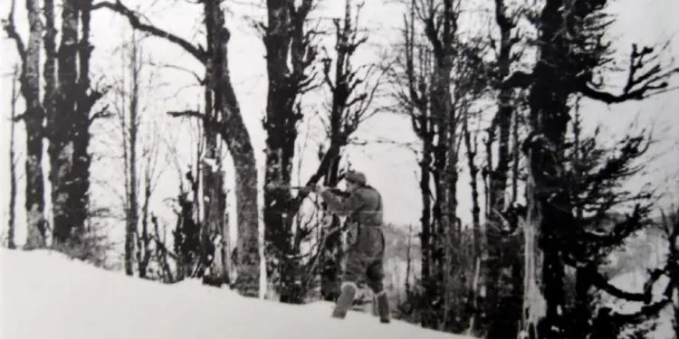 “Udhëheqësi i lartë i PPSh-së, qëlloi për derra të egër, por saçmet gjakosën një shokun tonë dhe kur e hipëm në makinën e tij, për ta çuar në spital, ai…”/ Dëshmia e inspektorit të Rezervatit të Velipojës