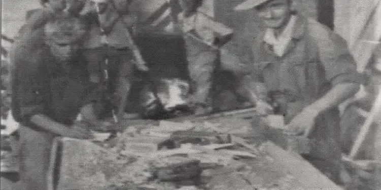 “Gjoka kishte dy ditë që kishte vdek nga sëmundjet dhe uria, por gratë mirditore e mbajtën të mshehun, pa i tregu komandës, me përfitu racionin…”/ Dëshmitë tronditëse për kampin e Tepelenës