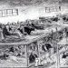 “Ndryshe nga kampet naziste, ku ato plaçka ishin të sigurueme, në Tepelenë, kishte njerëz që nuk kishin shtrojë e mbulojë e, flinin mbi dërrasat…”/ Dëshmia tronditëse e ish-të internuarit