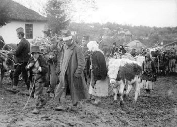 “On October 5, 1915, Austria-Hungary sent an ultimatum to Serbia, ordering it to withdraw all its troops from Albania within 8 days…”/ The new book of the well-known researcher and diplomat