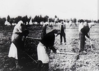 “The sub-lieutenant of the Vloçishti camp, who, after the events of August 1949, was the terror of the prisoners, escaped to Greece, where the State Security…”/ The mystery of the corsair officer that was talked about for a long time by the convicts