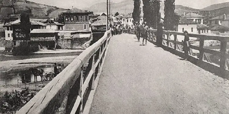 “Çdo arnaut që jetonte në rripin e tokave, në të ashtuquajturën Serbi e Vjetër, nga Mitrovica deri në Vranjë, është zhdukur nga faqja e dheut…”/ Libri i ri i studiuesit dhe diplomatit të njohur