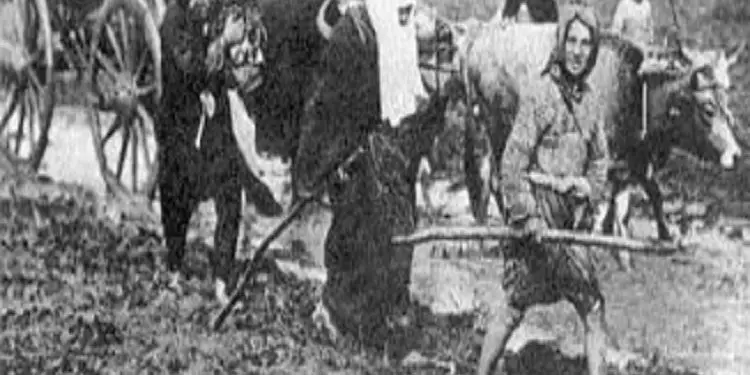 “Serbia borgjeze militariste, ka bërë një gabim historik fatal, pasi mendoi se do të dilte në Detin Adriatik, në qoftë se shtypte shqiptarët dhe…”/ Libri i ri i studiuesit dhe diplomatit, Bashkim Trenova