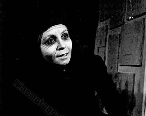 “Përveç dajës sonë, Dr. Faik Sharofi, i cili pa pyetur aspak për pasojat, na takoi para pallatit, kur po nisej makina për internim, edhe sopranoja e njohur…”/ Dëshmia nga SHBA-ës, e studiuesit Agron Alibali