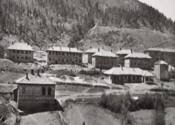 “Vëllai im Petriti, do fejohej me vajzën e Enverit, por Ramizi me Nexhmijen, e prishën atë, kishin frikë se pas vdekjes së udhëheqësit, babai, Kadriu,…”/ Raporti Sigurimit, me bisedën e Agron Hazbiut