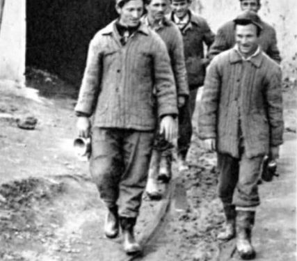“Vëllai im Petriti, do fejohej me vajzën e Enverit, por Ramizi me Nexhmijen, e prishën atë, kishin frikë se pas vdekjes së udhëheqësit, babai, Kadriu,…”/ Raporti Sigurimit, me bisedën e Agron Hazbiut