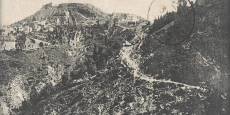 Fotografi me pamje nga qyteti i Tepelenës