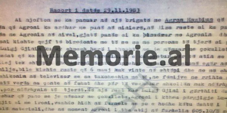 “Kur Luigj Gjini, i bërtiti; puno, se je mësuar me çokollata, Agroni i tha; ne vlonjatët, armikut, i digjnim shtëpinë, i vrisnim djemtë dhe…”/ Raporti i B.p. “Marteli”, Kurbnesh 1983