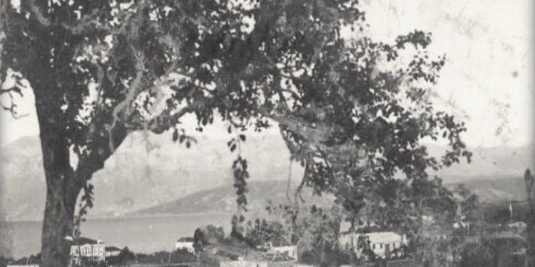 Fotografi me pamje nga qyteti i Pogradecit në vitet 1916-1940