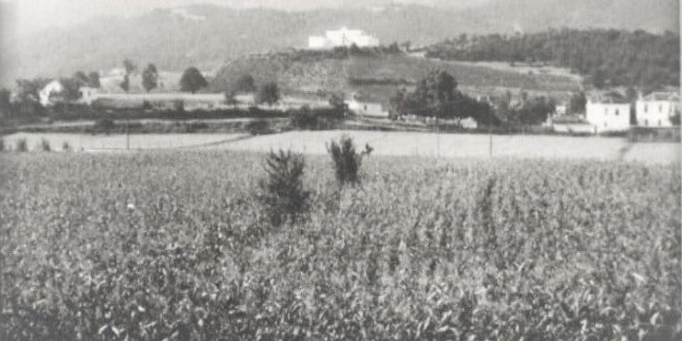 Fotografi me pamje nga qyteti i Pogradecit në vitet 1916-1940
