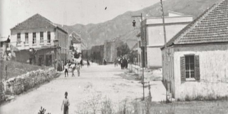 Fotografi me pamje nga qyteti i Tepelenës