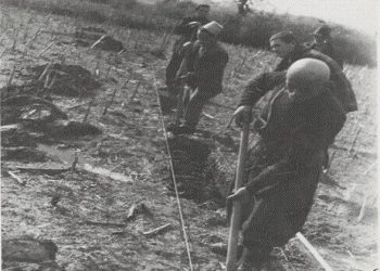 “Nga Ali Këlcyra e Bektash bej Cakrani, te Nuredin, Xheladin e Safa Vlora dhe Vizhdan Risilia, pasuritë e…”/ Zbulohen dokumentet dhe pronat që i’u sekuestruan “kolaboracionistëve”, pas vitit ‘45