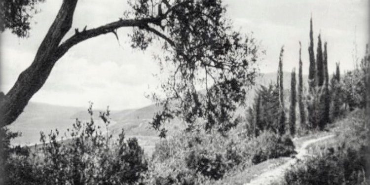 Fotografi dhe pamje nga Himara, Vunoi e Spile në vitet 1929-1950