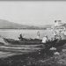 View from the lake of Shkodra in the 1920s