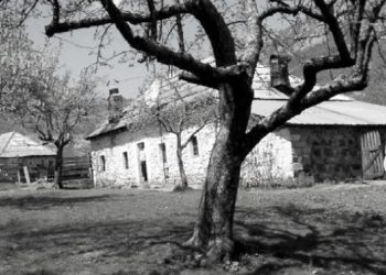 “Lura është shembulli unikal, ku dy besimet janë brenda një shtëpie; gruaja myslimane e burri katolik, njëri vëlla katolik e tjetri mysliman, nipi e daja…”/ Refleksionet e studiuesit e publicistit të njohur