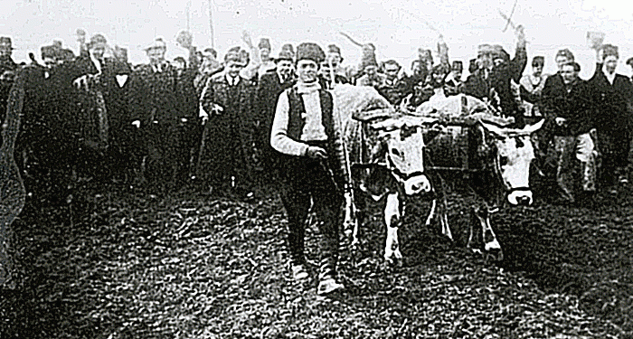 “Orhan Frashëri, mblodhi në tarracën e Hotel ‘Tomorri’, të gjithë tregtarët e pasanikët beratas, që s’dorzonin arin dhe qëlloi të parin me revole pas veshit…”/ Historia tronditëse e shkurtit 1946