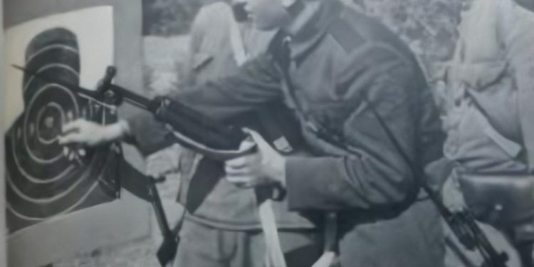 “Nexhipi me Demirin, ushtarë në Vlorë, pinë gjak dhe u bënë byrazerë, por kur u takuan vite më vonë në shtëpinë e Demirit, nëna e tij u tha…”/ Historia tronditëse e familjes nga Shalsi Elbasanit