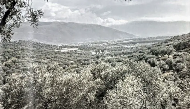 “Nexhipi me Demirin, ushtarë në Vlorë, pinë gjak dhe u bënë byrazerë, por kur u takuan vite më vonë në shtëpinë e Demirit, nëna e tij u tha…”/ Historia tronditëse e familjes nga Shalsi Elbasanit