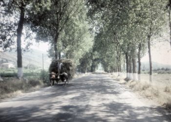 “Imazhi i parë, në postën kufitare me ish-Jugosllavinë, një portë me tela me gjemba të elektrizuar, ku një ushtar i armatosur me një yll të kuq në kapele…”/ Reportazhi i panjohur i ish-atasheut kulturor italian në Tiranë, në ’82-in