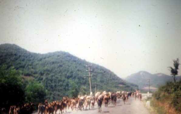 “Imazhi i parë, në postën kufitare me ish-Jugosllavinë, një portë me tela me gjemba të elektrizuar, ku një ushtar i armatosur me një yll të kuq në kapele…”/ Reportazhi i panjohur i ish-atasheut kulturor italian në Tiranë, në ’82-in