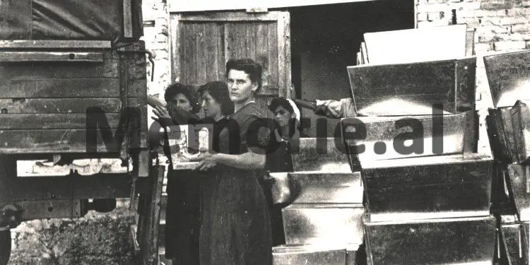 “Senatori i Partisë Komuniste Italiane, Umberto Terracini, përshkruan ardhjen e eshtrave të partizanëve italianë në Bari, si…”/ Historia e panjohur e “Gjeneralit të ushtrisë së vdekur”