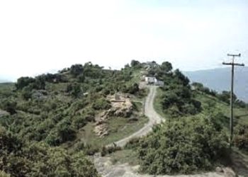 “Më 2 tetor 1948, çeta ra në përpjekje në Kamçisht, ku u vra toger Xhezo Makashi, shefi i Sigurimit të Tepelenës dhe më pas, ata u drejtuan nga Berati…”/ Historia e panjohur e kryengritjes së Zhapokikës