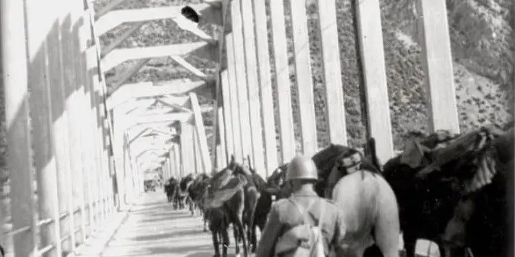 “Nxanësit lëshuen klasët, katundarë të panumërt vijshin ‘me pa çka ban Shkodra’, kalimtarët ecshin pa za, si të ishte nji proces mortor…”/ Kujtimet e emigrantit politik, nga SHBA-ës