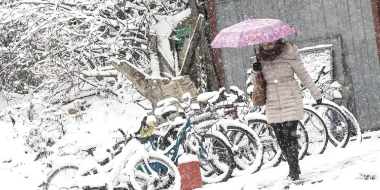 Nga Kolë Vjerdha me numrin 1, te Nazmi Mandia, Kel Temali, Faik Quku, Fadil Kruja e Ragip Curri, te kirurgu Mark Mirashi, që doli në pension me ‘Mifa’ dhe…”/ Historia e panjohur e qytetit që ecte mbi dy rrota