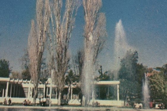 “Tajvani’, parku ku këndonte Vaçe Zela, Tonin Shala, bashkëshorti i Fitnete Rexhës, etj. dhe ku lindën dashuritë me turistet lindore…”/ Historia e panjohur e lokalit të famshëm