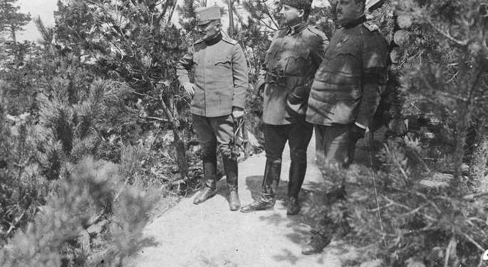 “Në Dibër, Arif Hiqmeti nga Kumanova, vegla e kryeministri serb Pashiq, s’gjeti asnjë përkrahje, por mundi të bëjë vegël familjen Lleshi, Halit e Liman…”/ Historia e panjohur e “vitit të mbrapshtë” 1914