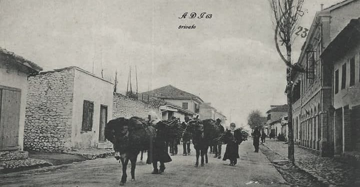 “Në luginën e Valbonës, banon fisi mysliman Krasniqi, i cili nuk e meriton aspak namin e keq që ka, si popull armiqësor dhe i egër, pasi…”/ Kujtimet e albanologut të njohur nga Austria