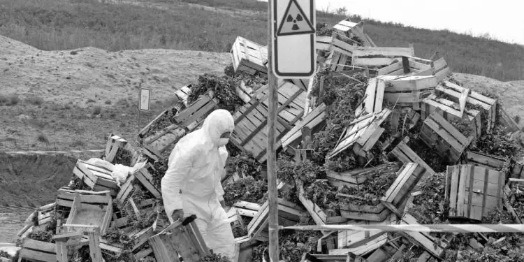 “Nga matjet që bëmë në institutet tona, rezultoi se Shqipëria u ndot shumë nga radio-aktiviteti i Çernobilit dhe tre vaporë me bimë medicinale, Gjermania na i ktheu …”/ Dëshmitë e rralla, të dy profesorëve të njohur