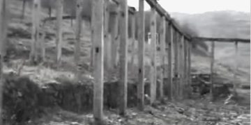 “In the camp of Ballshi, the head of the Durrës Internal Branch, Kapllan Shehu, the brother-in-law of Kadri Hazbiu, came to us, who called me and Aladin Kapo and asked us to…”/ Testimony of the former Navy officer