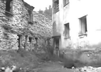 “Nikoll Th., nga veriu, i përdorur si spiun birucash i Feçor Shehut, kishte zbuluar 5 kg. flori një tiranasi të arrestuar, shoku im, Kujtim Prendi, e rrahu për vdekje, pasi…”/ Kujtimet e ish-oficerit të Marinës