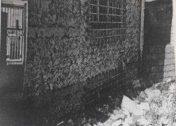 “In 1992, Thanasi accused in the press, prosecutor Arqile K., Judge Kiço T., Thanas C., and Janaq K., fake witnesses of the ‘Group – Qeleshi – Zguro – Fidani’…”/ The tragic story of ex-convicts from Korça