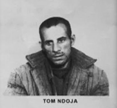“Pse s’i pranova policit Beqir B., nga Peshkopia, që nga minator, të bëhesha shef kuzhine dhe historia e dy ‘suedezëve’ e ‘amerikanit’, që u kthyen me dëshirë në Shqipëri…”/ Rrëfimi i ish-oficerit Marinës
