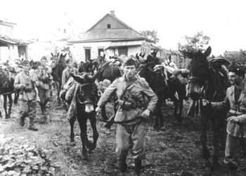 “Sot në mëngjes më erdhi në infermieri një grua shqiptare e hipur mbi mushkë, ishte e njomë, e hirshme dhe…”/ Kujtimet e panjohura të mjekut ushtarak italian në Shqipërinë e Luftës së Parë Botërore