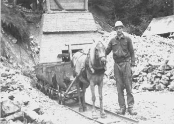 “The three convicts sentenced to death in the trial held at the ‘Kosova’ Cinema were left hanging in the square for three days, where a group of children pulled them by their legs, spinning them around.” / The memoirs of the Italian Canciani