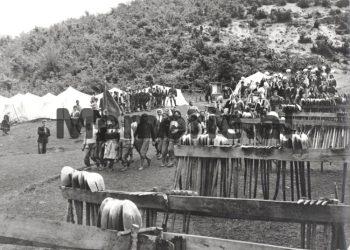 “Një grua e sëmurë për lindje, udhëtonte shtrirë në gjendje kome, në karrocerinë e një makine me mbi 30 pasagjer, një lopë, dy viça dhe 4-5 derrkucë, pasi…”/ Letra e panjohur për Ramiz Alinë, në janar ‘86