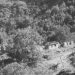“After they informed me that my brother had died and I asked them to take his body to bury him, they told me that he was not finished…” / The sad story of the “kulak” from Butka in Kolonje, in in 1972